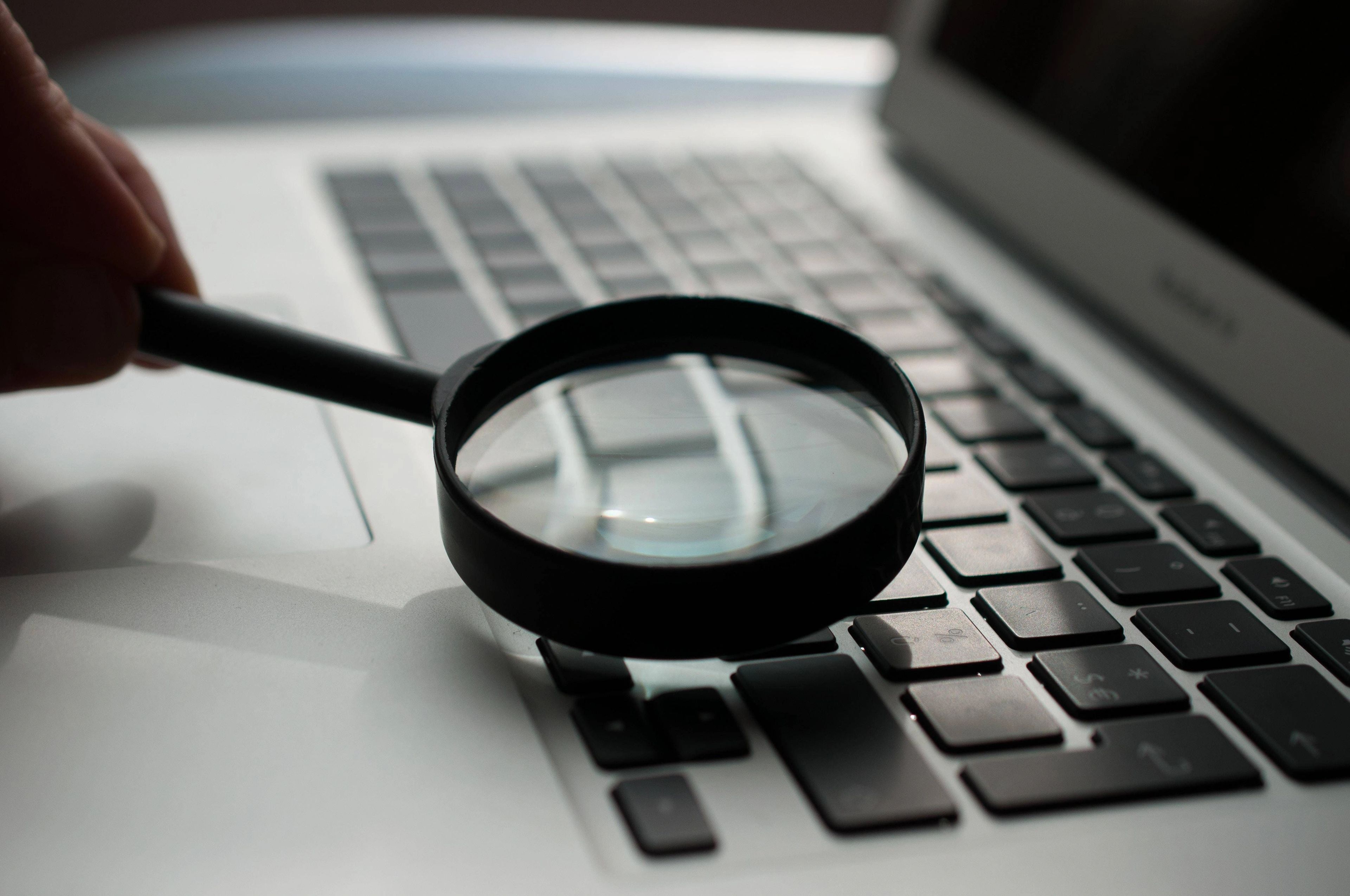 Reverse Image Search: A Handy Guide for Finding Similar Images Online
