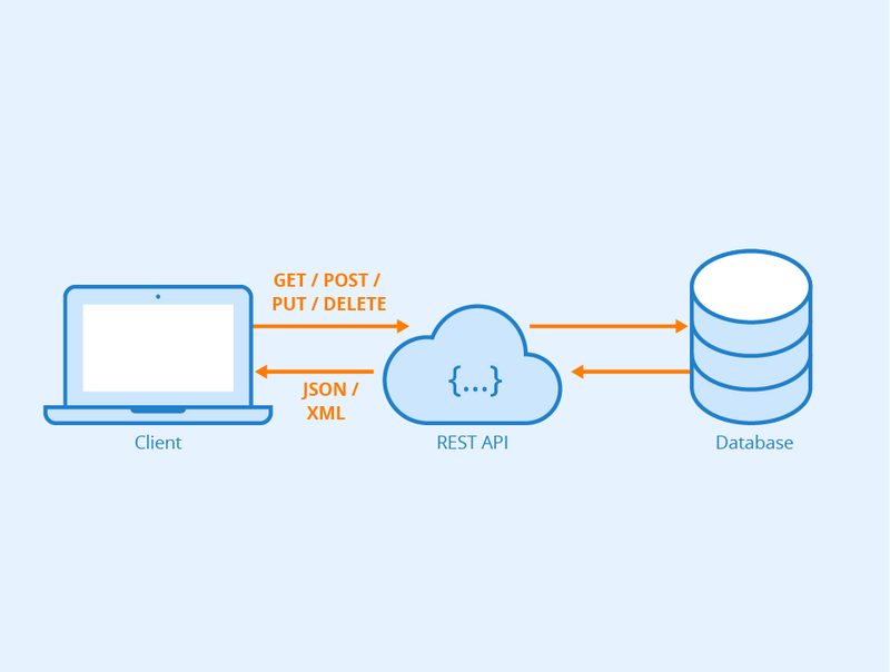 A Comprehensive Guide to Integrating an API into Your Website or Application